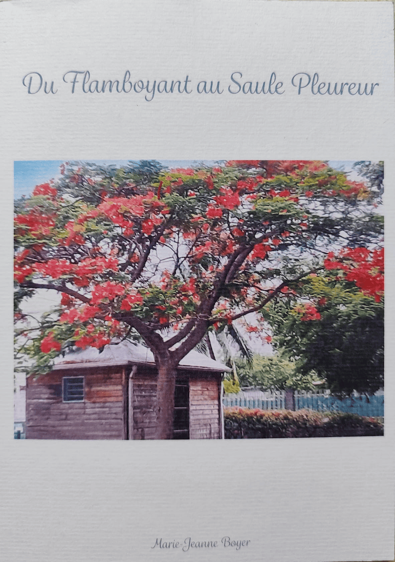 Image Du flamboyant au saule pleureur