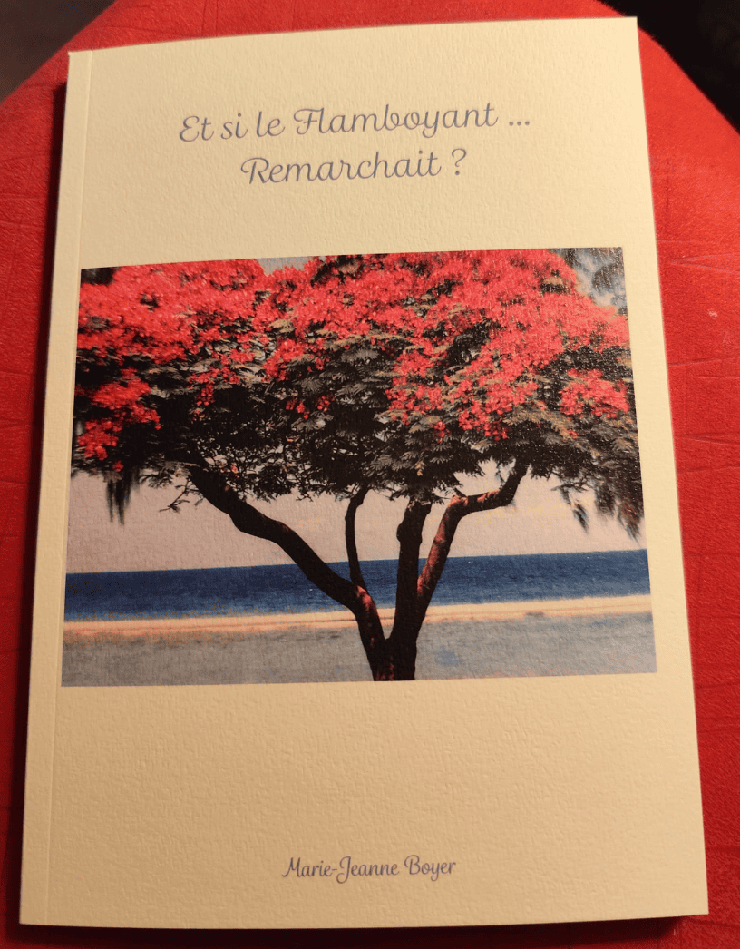 Image Et si le flamboyant remarchait